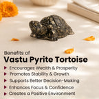 Vastu Pyrite Tortoise