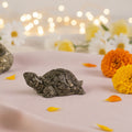 Vastu Pyrite Tortoise